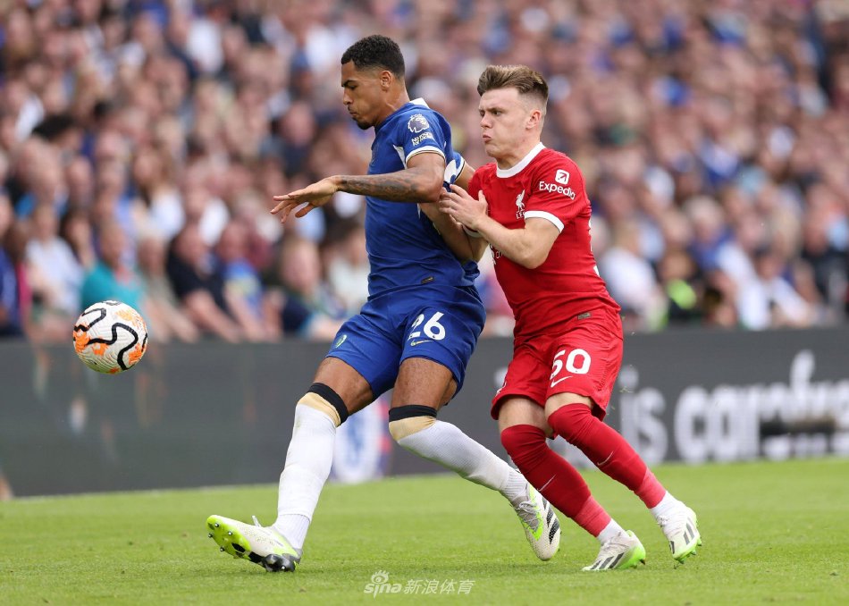 加强青年培 加强青年培