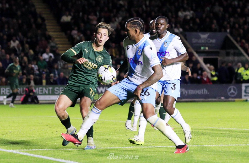 而他们从不 而他们从不