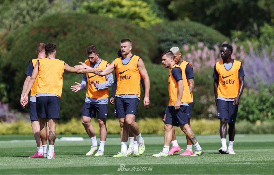 半的合同 半的合同